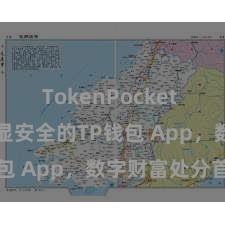 TokenPocket Web3 浅显安全的TP钱包 App，数字财富处分首选